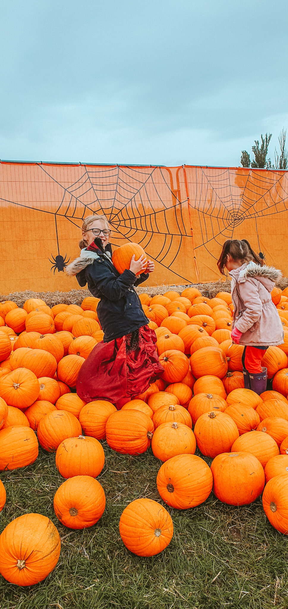 Halloween Farm at Cattows Farm, Leicestershire review The Knight Tribe